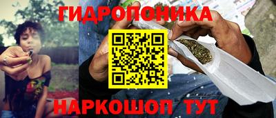 индика Будённовск