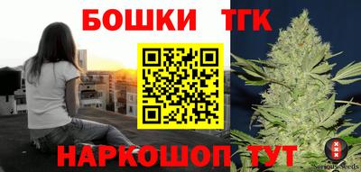индика Будённовск