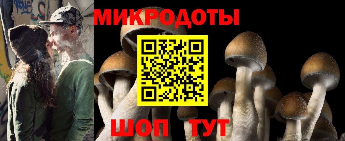 Галлюциногенные грибы Psilocybine cubensis Санкт-Петербург