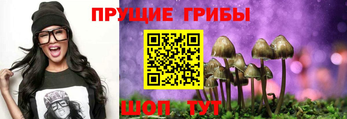 Санкт-Петербург  Галлюциногенные грибы Psilocybine cubensis  закладка  Вход с VPN 